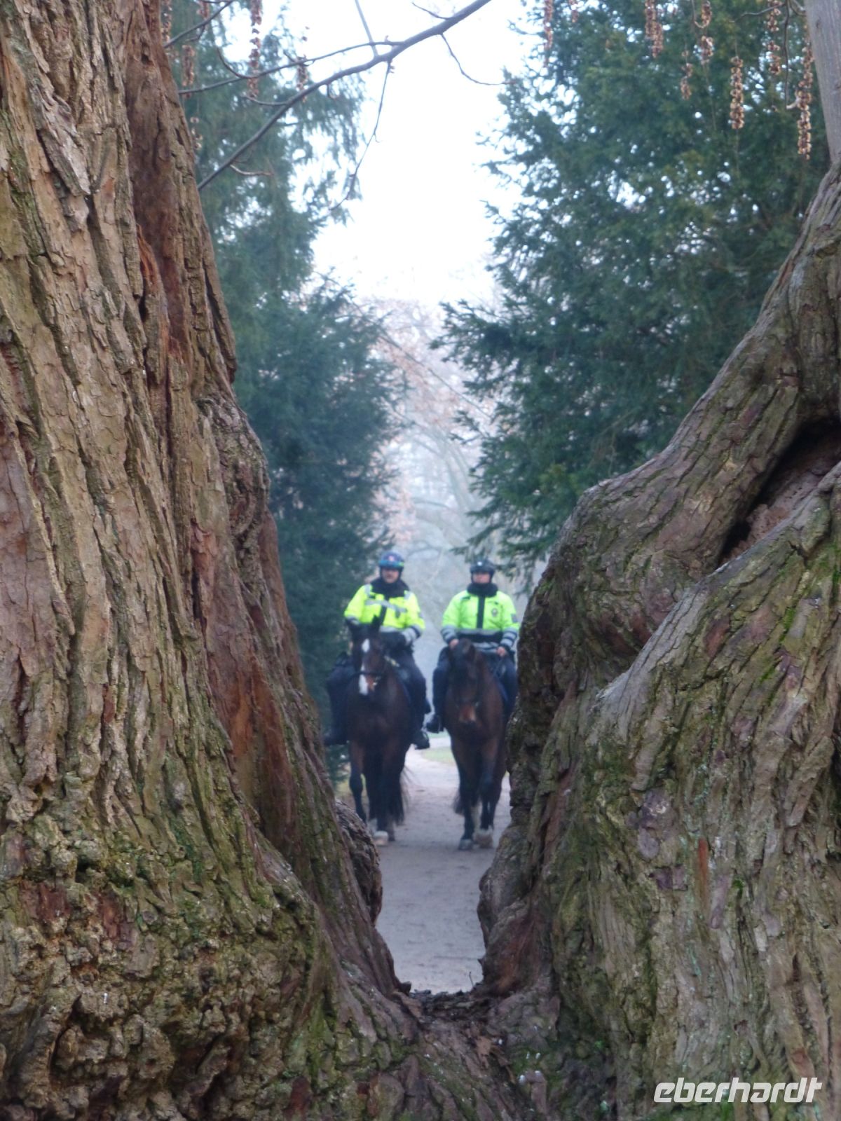 Berittene Polizei guckt nach dem Rechten.