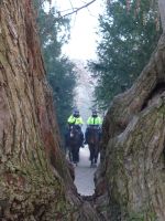 Berittene Polizei guckt nach dem Rechten.