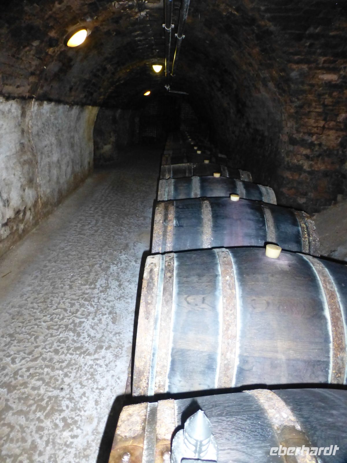 … und Fässer verlieren sich in der Weite des Kellers.