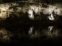 Spiegelung im Wasser