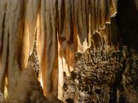 … der zerbrechlich wirkt.