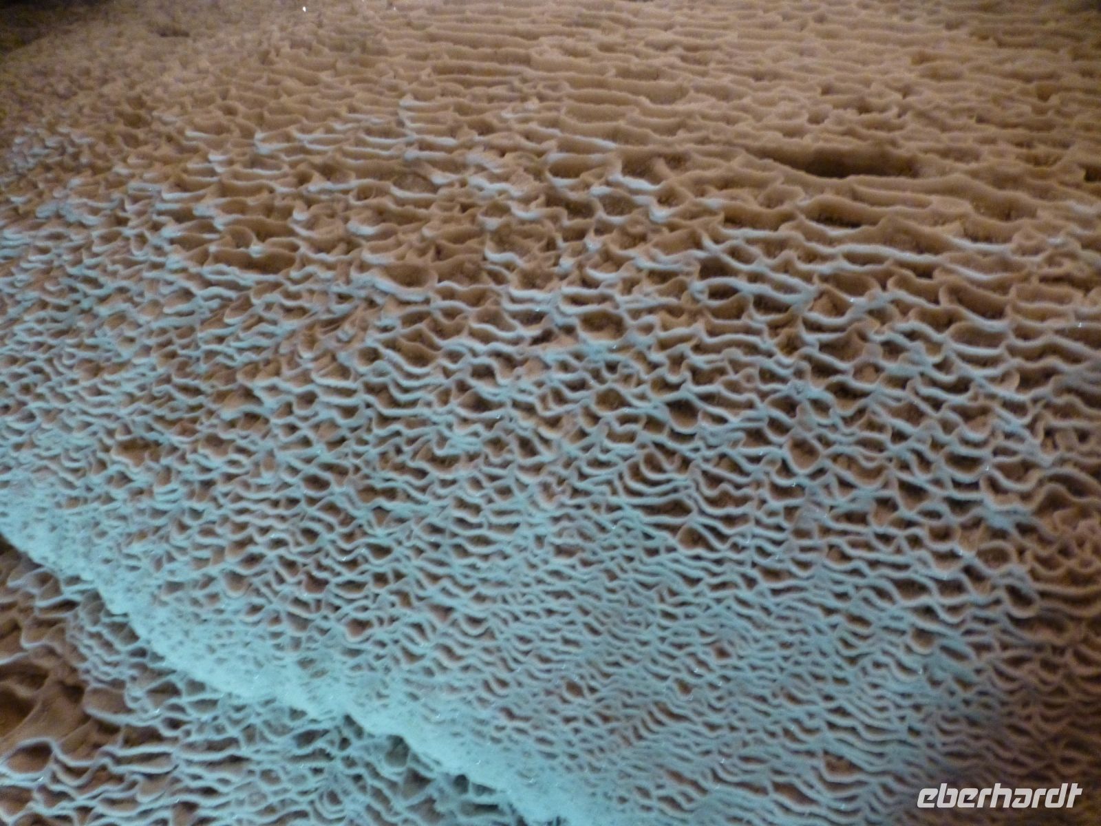 Erinnert an eine versteinerte Koralle.