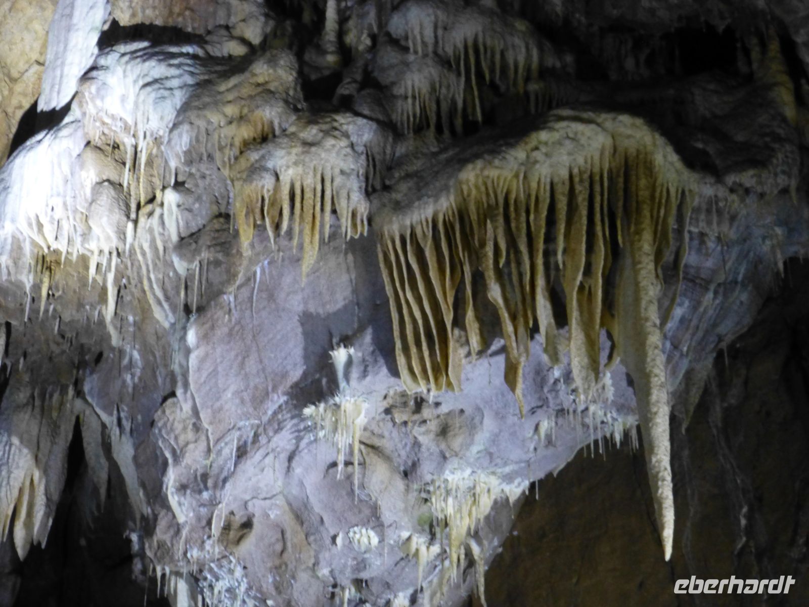 Steinerne Schönheiten…