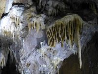 Steinerne Schönheiten…