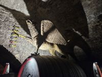 Schloss Melnik, Fabelwesen mit drei Teilen