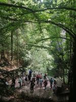 Macocha Dolni mustek - Aussichtspunkt ins Tal - Macocha Talbrücke 