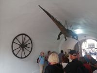 zwei Stadtzeichen von Brünn: das Rad und das Krokodil im Eingangsportal des Alten Rathauses