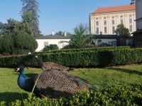 Schloss Kromeríž, im Schlossgarten