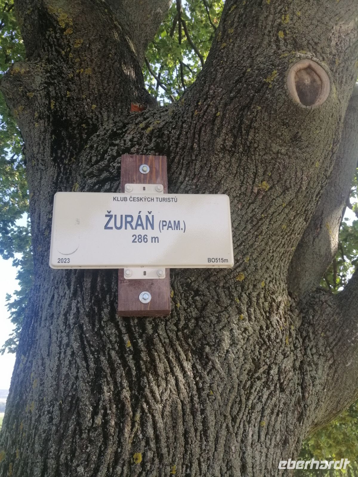 Der Platz Zurán von dem aus Napoleon während der Schlacht von Austerlitz 1805 seine Truppen dirigierte