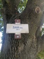 Der Platz Zurán von dem aus Napoleon während der Schlacht von Austerlitz 1805 seine Truppen dirigierte