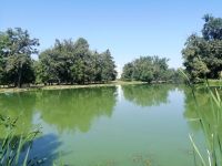 Spaziergang durch den Schlossgarten Lednice: Blick zum Minarett