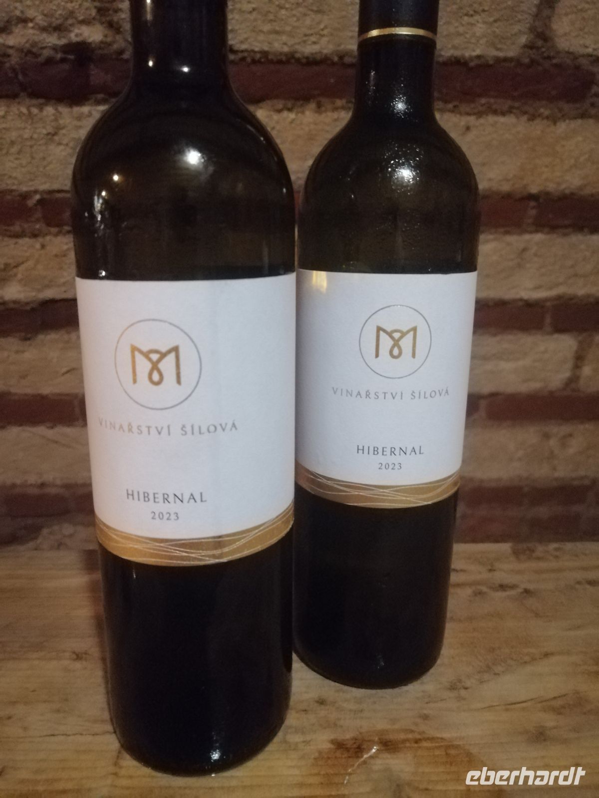 Verkostung von 5 Weinen