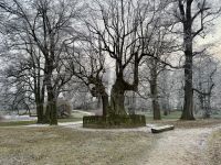 3. Tag – Neujahrsausflug nach Trebon und Telc – Stadtführung in Telc – Schlosspark