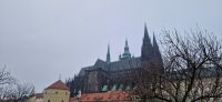 St. Veits Dom, Prag