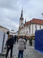 25.12.24 Stadtrundfahrt & - Gang Olmütz.  Rathaus