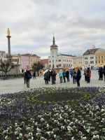 25.12.24 Stadtrundfahrt &- gang Kremsier - großer Marktplatz