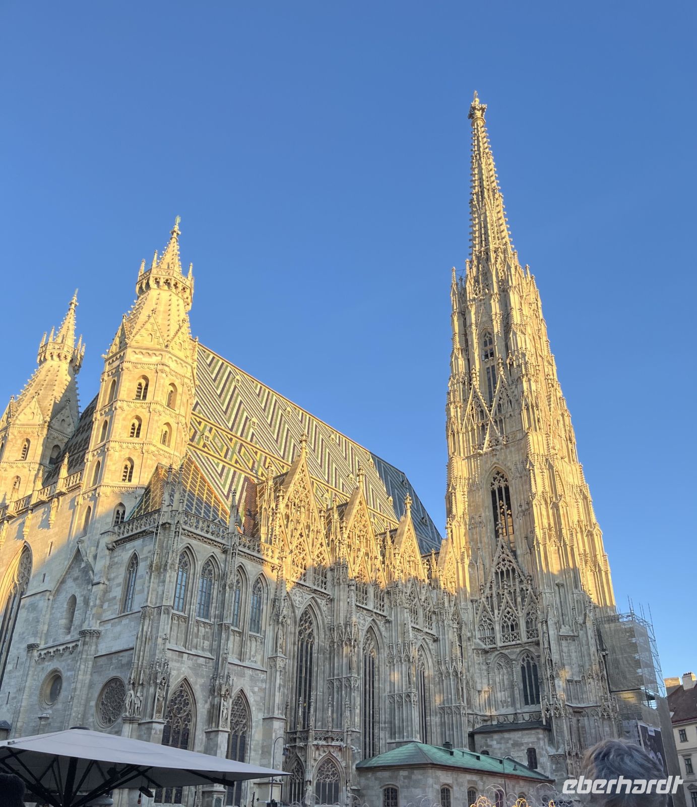 26.12.24 Ausflug nach Wien - DOM im Sonnenglanz
