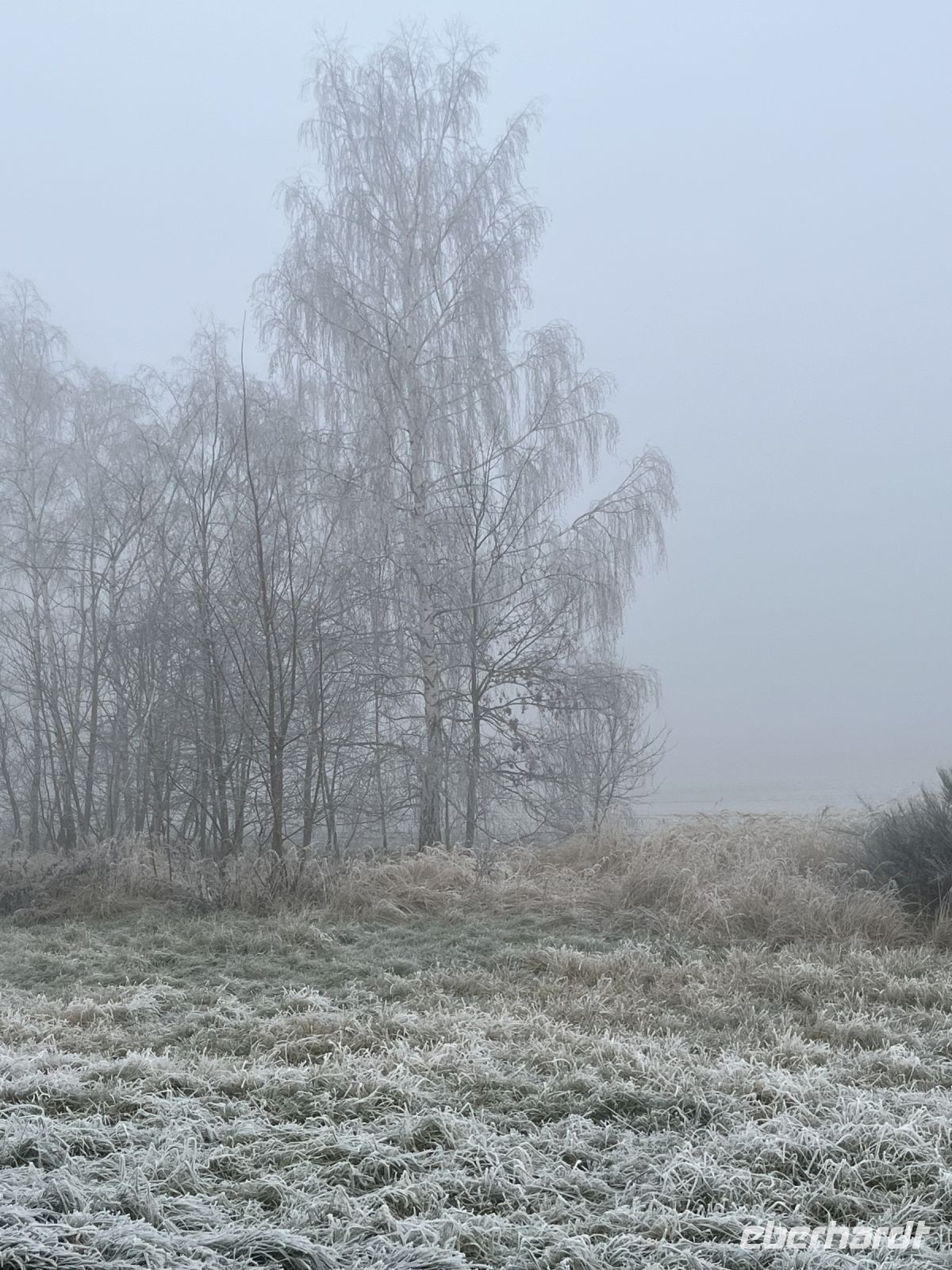 27.12.24 Abreise der Weihnachtsgäste