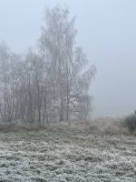 27.12.24 Abreise der Weihnachtsgäste