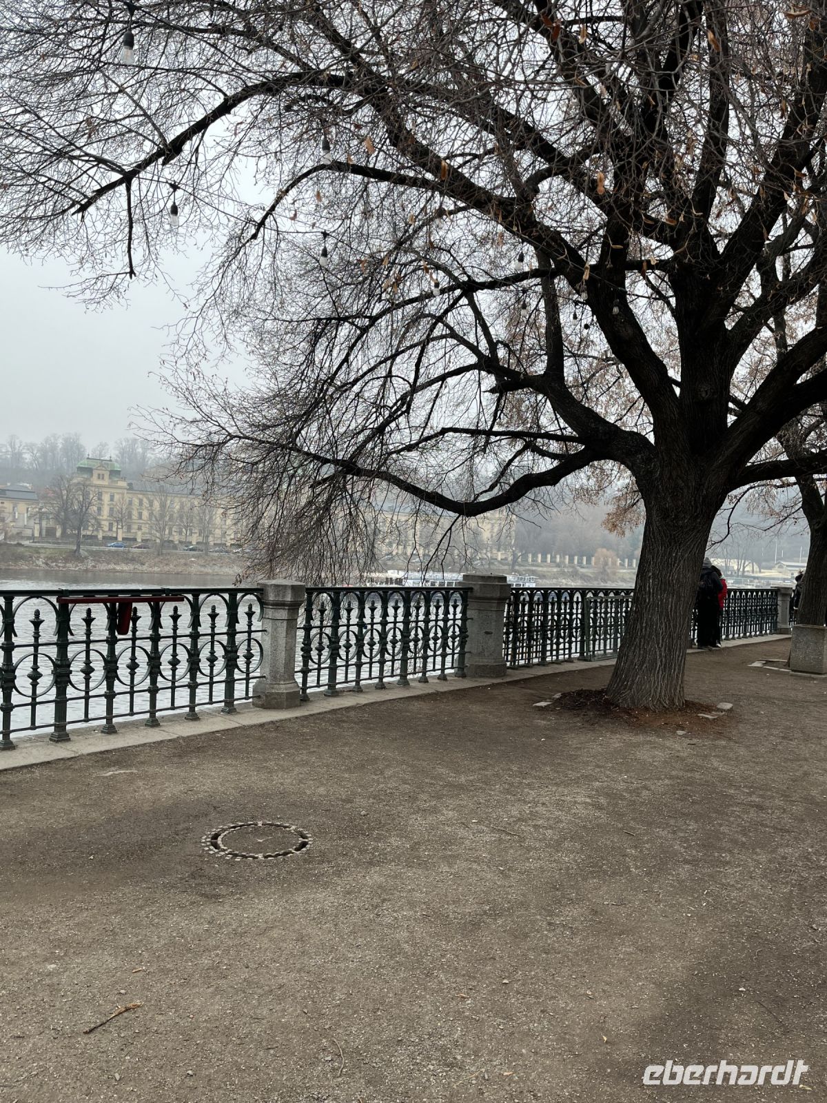27.12.24 Abreise der Weihnachtsgäste - an der Moldau - Richtung Tschechischer Brücke