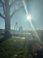 29.12.24 Ausflug nach Bratislava - Blick auf die SNP Brücke und das Restaurant UFO