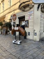 29.12.24  Bratislava -  Altstadt - Pressburg Bajgel