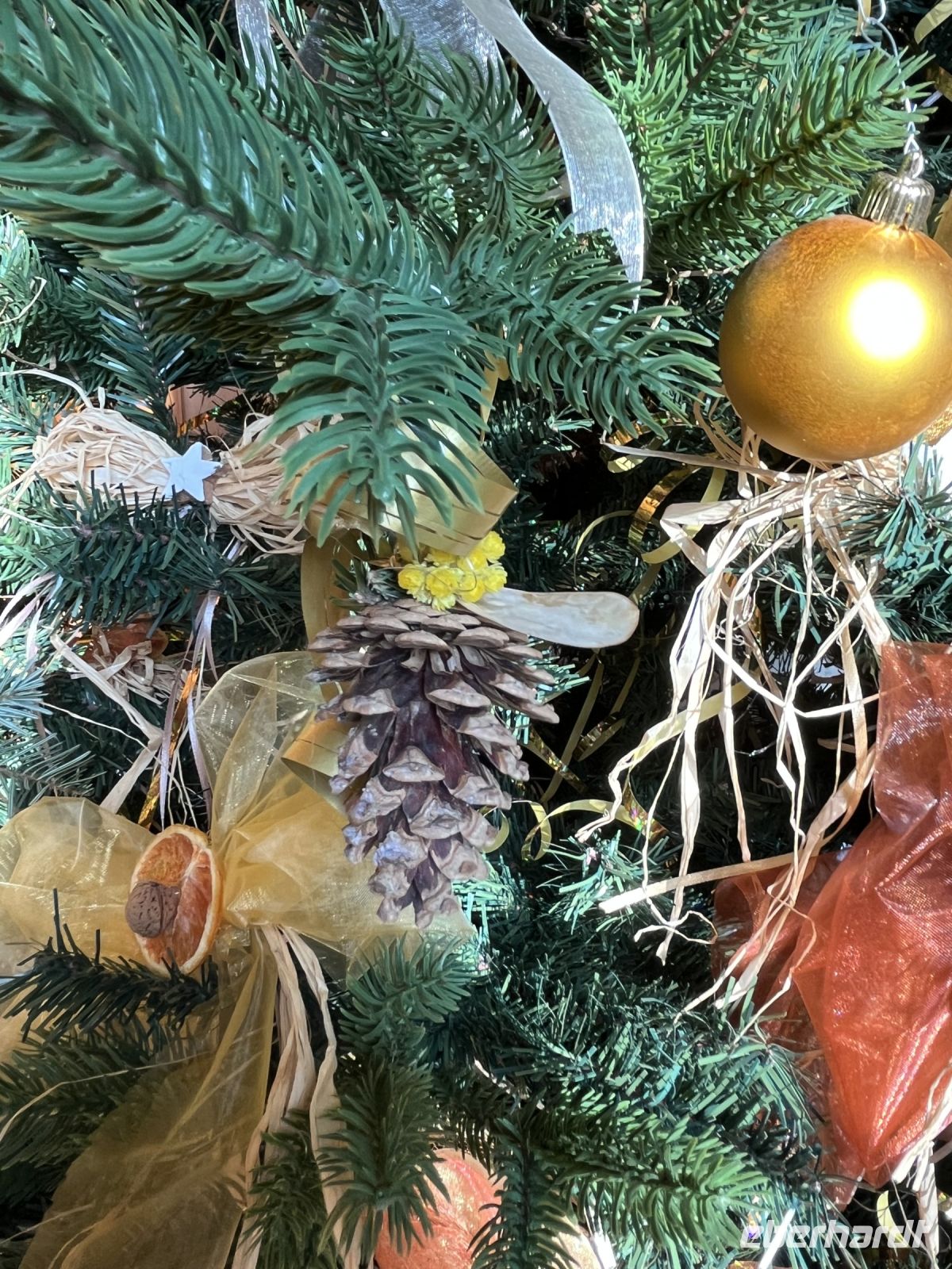 30.12.24  Schloss Lednice - Führung