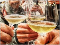 30.12.24 Weinführung im Hotel RYZLINK