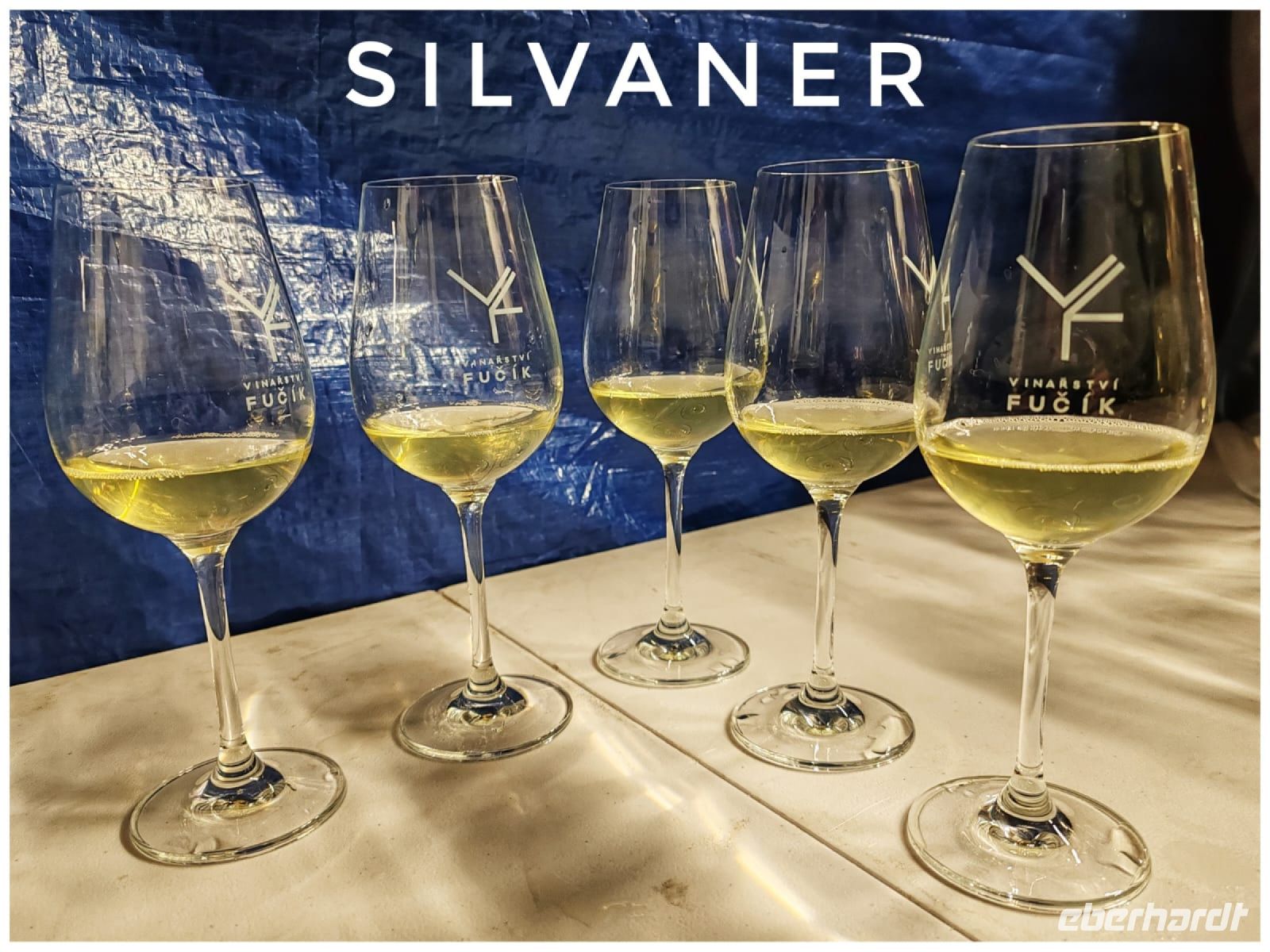 30.12.24 Weinführung im Hotel RYZLINK