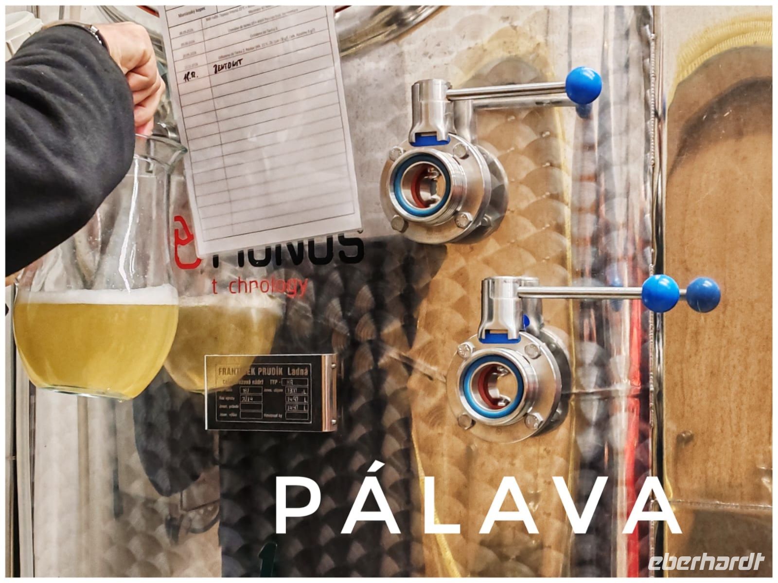 30.12.24 Weinführung im Hotel RYZLINK