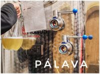 30.12.24 Weinführung im Hotel RYZLINK