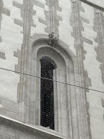 31.12.24 Stadtführung Brünn - Jakobs Kirche - beachte, die Drogerie an der Südseite!