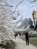 01.01.2025 Telc  - Schloßrundgang