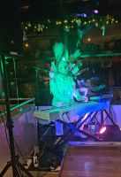 Prag, Silvester-Schifffahrt, Entertainer