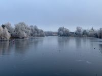 3. Tag – Neujahrsausflug nach Trebon und Telc – Zugefrorener Teich mit Schlittschuhläufern in Telc