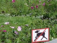 Nette Hinweisschilder