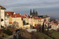 Blick zur Prager Burg