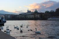 Schifffahrt auf der Moldau