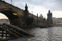 Schifffahrt auf der Moldau