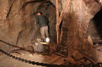 Führung in der Pilsener Urquell Brauerei - Gärkeller