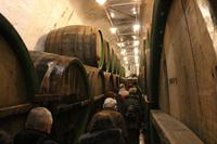 Führung in der Pilsener Urquell Brauerei - Gärkeller