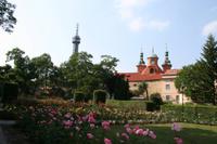 Ein wirklich hübsches Plätzchen, um seine Freizeit zu verbringen. Das tun übrigens auch viele Prager Familien.