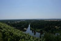 Zusammenfluss von Elbe und Moldau bei der Weinstadt Melnik.