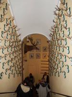 Sammlung von Jagdtrophäen.