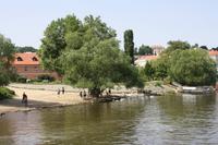 Der kleine Moldaustrand am Kafka-Museum