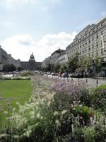 Blumenmeer am Wenzelsplatz