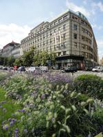 Blumenmeer am Wenzelsplatz