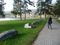 Auf einem neuangelegten Radweg könnte man rund um den See radeln (145 km).