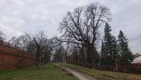 Am Schlosspark Austerlitz