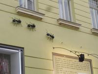 Ameisenhaus